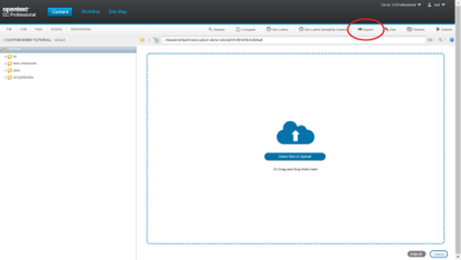 Importar CC Professional