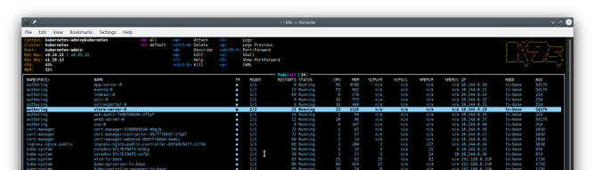 Listado de pods en k9s