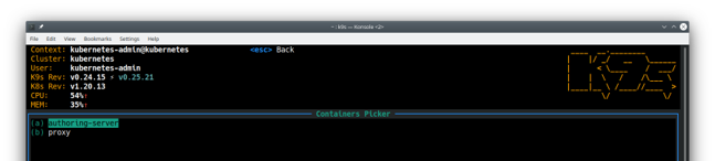 Elegimos el contenedor de authoring-server