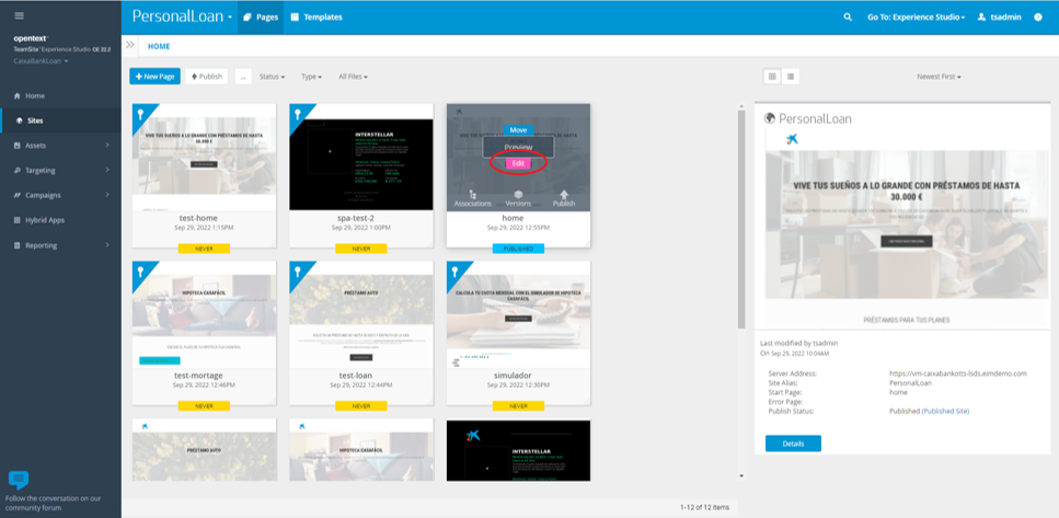 TeamSite - editar página